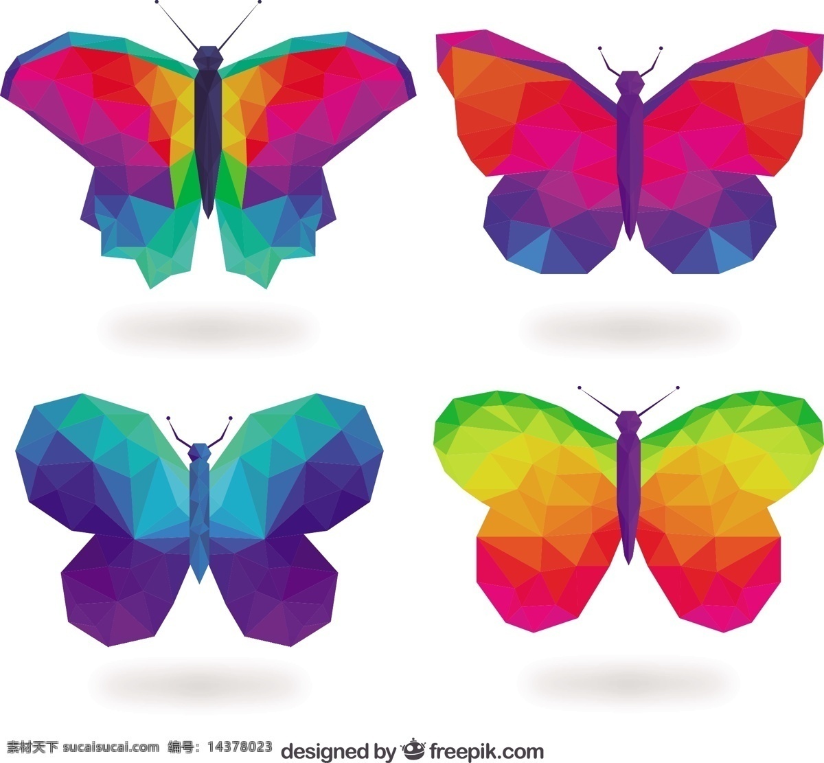 彩色 蝴蝶 低 聚 风格 几何 自然 动物 丰富多彩 颜色 多边形 飞 飞行 昆虫 低聚 白色