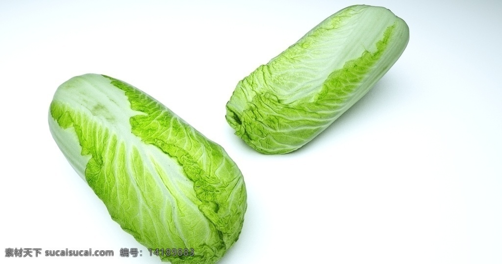 大白菜 白菜 蔬菜 食品 写实蔬菜 写实白菜 3d设计 3d作品 max