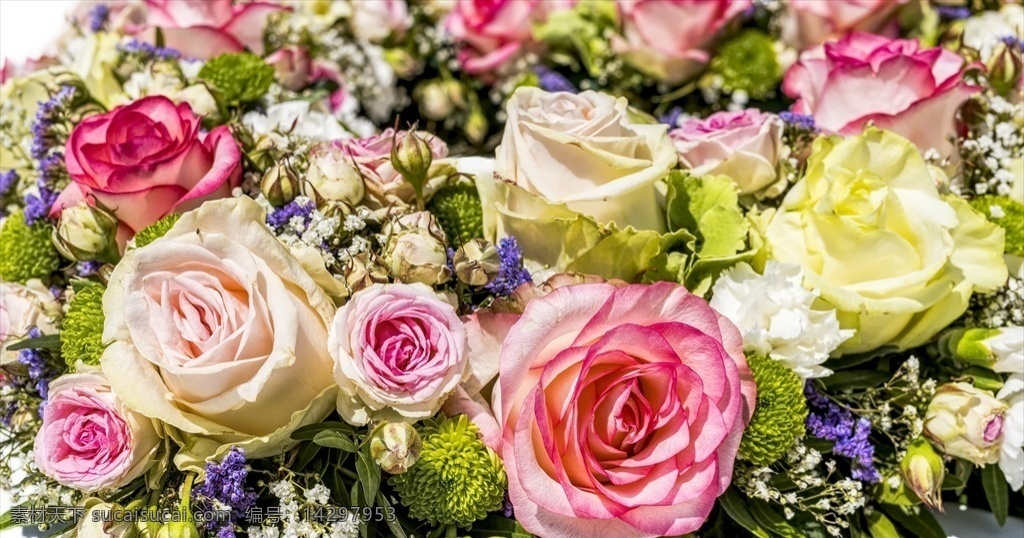 玫瑰花 花卉 自然 插图 多彩玫瑰 鲜花 七彩玫瑰 原创共享 生物世界 花草