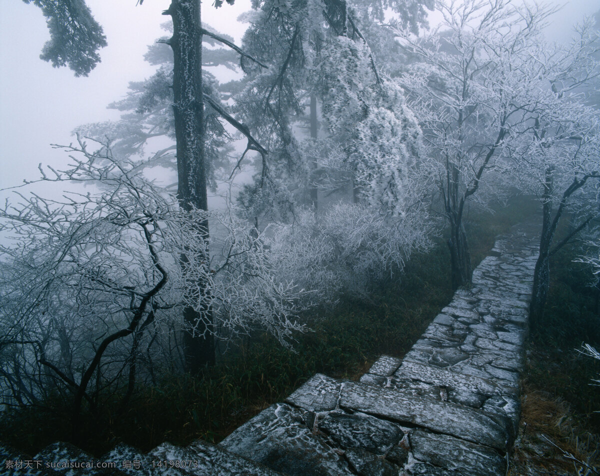 中国风景 森林 雾凇 羊肠小道 风景 国内旅游 旅游摄影
