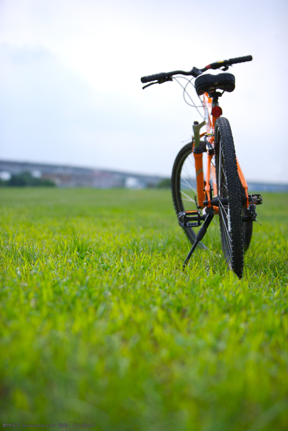 亲子 休闲 脚踏车 草坪 车道 风景 户外运动 赛车 自行车 生活 旅游餐饮